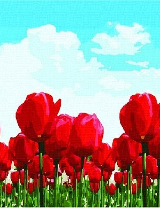 Tapyba pagal skaičius Tulpių laukai 50x50x3 cm