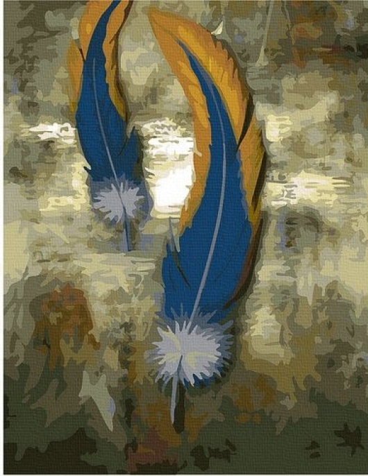 Tapyba pagal skaičius Ryškios plunksnos 40x50x3 cm