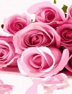 Tapyba pagal skaičius Rožinės rožės 40x50x3 cm