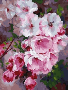 Tapyba pagal skaičius Rožinės vyšnios žiedo šaka 40x50 cm