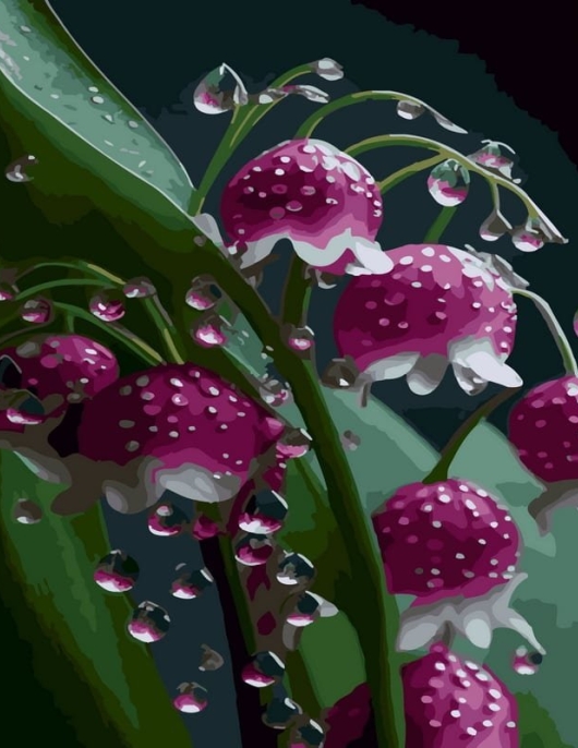 Tapyba pagal skaičius Rasotos miško uogos 40x50 cm