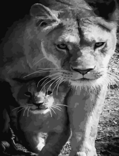 Tapyba pagal skaičius Motina liūtė ir jauniklis (juoda ir balta) 40x50 cm
