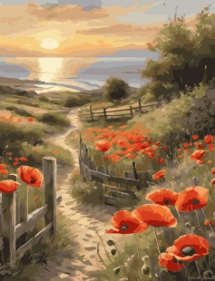 Tapyba pagal skaičius Aguonų laukas prie jūros 40x50 cm