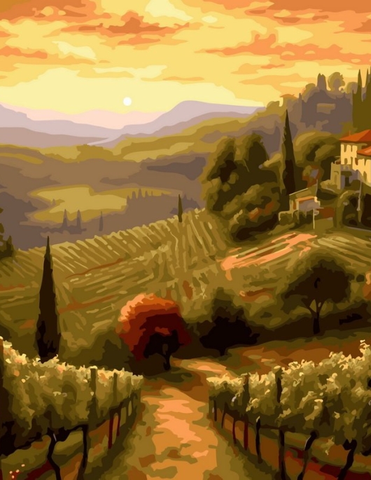 Tapyba pagal skaičius Toskanos vynuogynų kraštovaizdis 40x50 cm