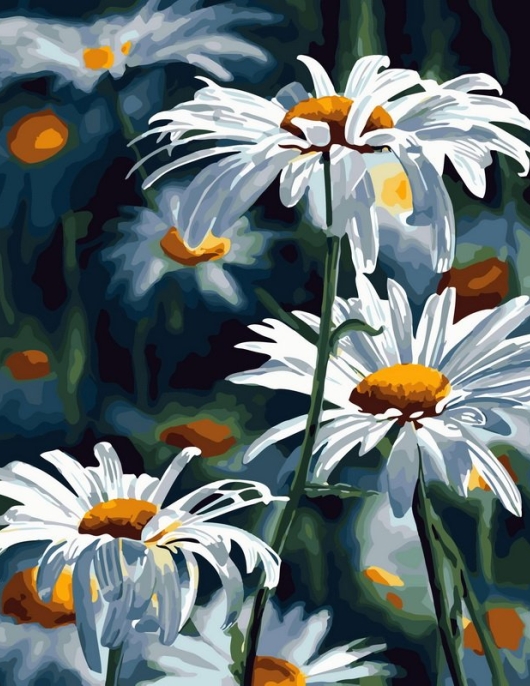 Tapyba pagal skaičius Baltos ramunės stambiu planu 40x50 cm