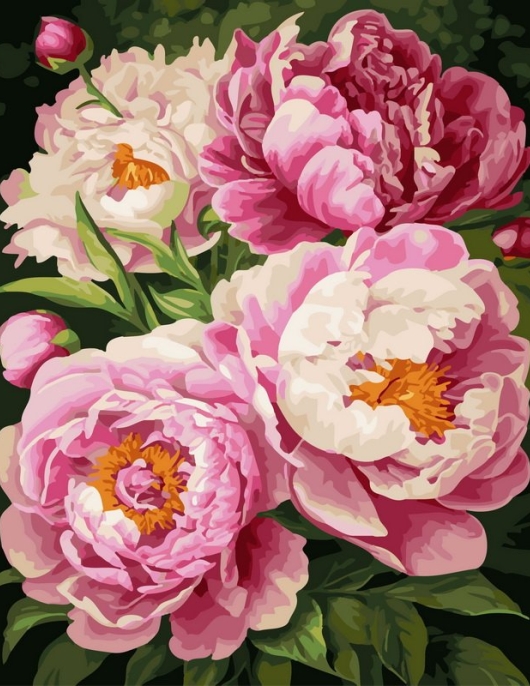 Tapyba pagal skaičius Švelniai rožinių bijūnų puokštė 40x50 cm