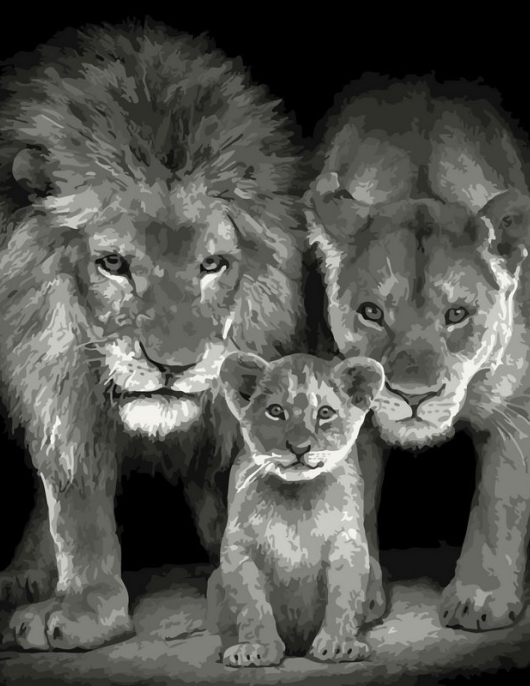 Tapyba pagal skaičius Liūtų šeimos portretas (juoda ir balta) 40x50 cm