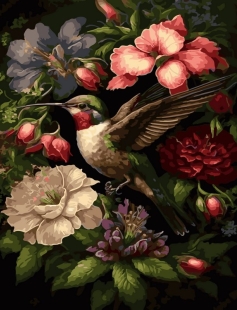 Tapyba pagal skaičius Kolibris tarp žiedų 40x50 cm