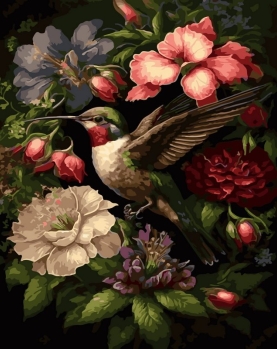 Tapyba pagal skaičius Kolibris tarp žiedų 40x50 cm