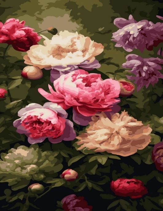 Tapyba pagal skaičius Romantiškas bijūnų sodas 40x50 cm