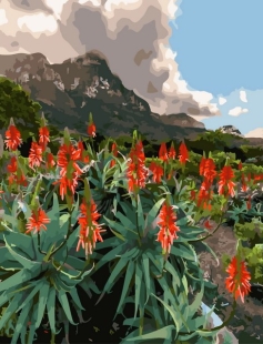 Tapyba pagal skaičius Raudonųjų alavijo žiedų kalnų laukas 40x50 cm