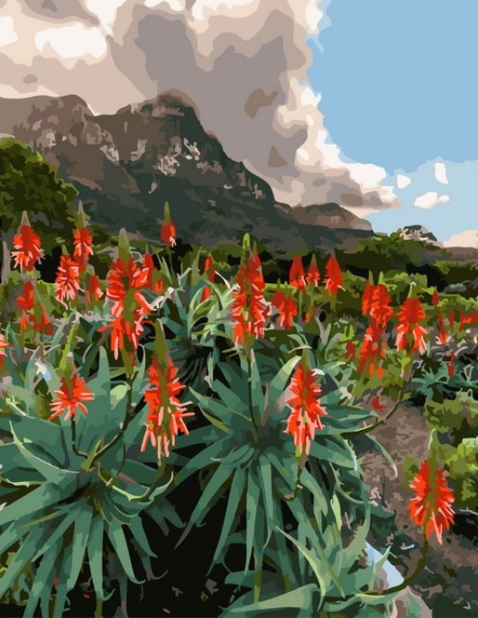 Tapyba pagal skaičius Raudonųjų alavijo žiedų kalnų laukas 40x50 cm