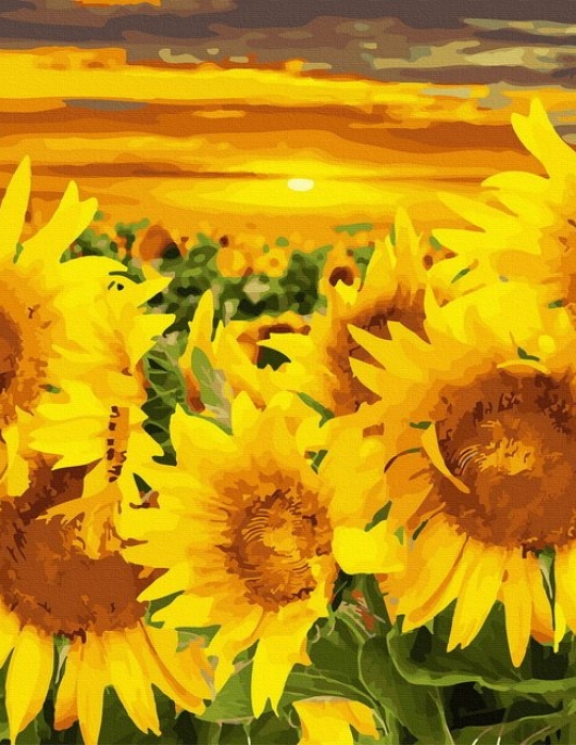 Tapyba pagal skaičius Auksinės saulėgrąžos saulėlydyje 40x50 cm