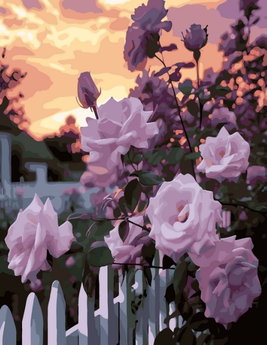 Tapyba pagal skaičius Saulėlydžio rožių sodas 40x50 cm