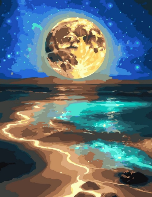 Tapyba pagal skaičius Mėnulio apšviestas vandenyno krantas 40x50 cm