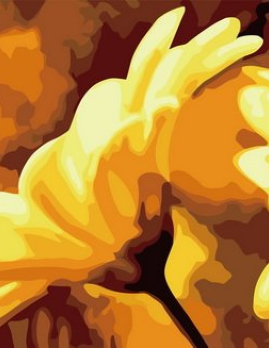 Tapyba pagal skaičius Geltonos gerberos – šilumos ir džiaugsmo simbolis 50x50x3 cm