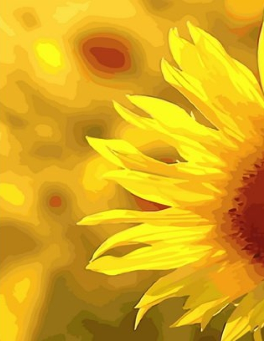 Tapyba pagal skaičius Saulėgrąžos auksinėje šviesoje 40x50x3 cm