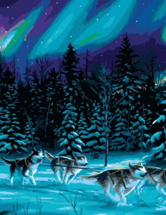 Tapyba pagal skaičius Šiaurės pašvaistės ir haskių rogių komanda 40x50x3 cm
