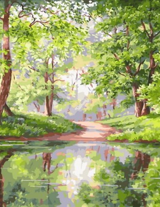 Tapyba pagal skaičius Miško takas prie ežero 40x50x3 cm