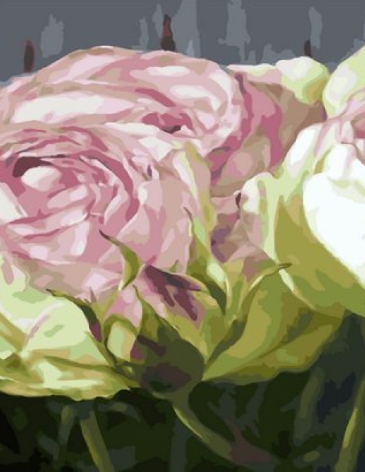 Tapyba pagal skaičius Švelniai rožinės rožės 40x50x3 cm