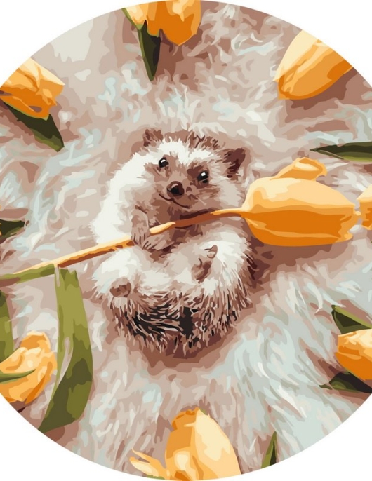 Tapyba pagal skaičius Mažas ežiukas su tulpėmis 40x40 cm