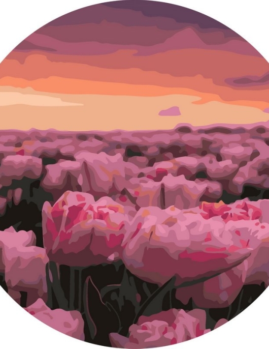 Tapyba pagal skaičius Rožinių žiedų laukas sutemus 40x40 cm Tapyba pagal skaičius Rožinių žiedų laukas sutemus 40x40 cm