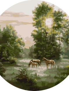 Tapyba pagal skaičius Arkliai ganosi miško pievoje 40x40 cm