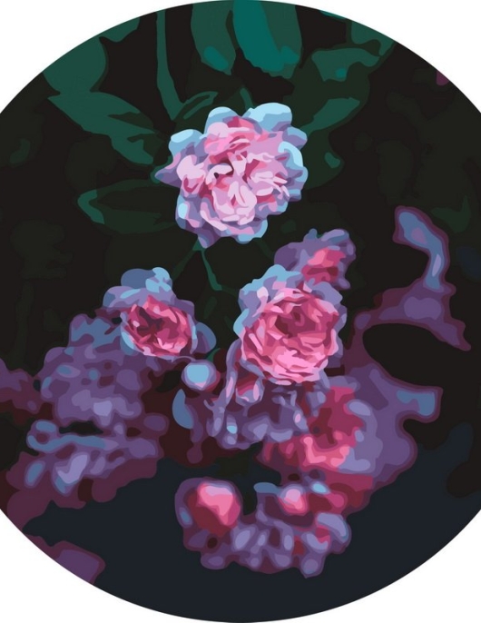 Tapyba pagal skaičius Tamsus gėlių natiurmortas 40x40 cm