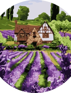 Tapyba pagal skaičius Levandų namelis žydi 40x40 cm