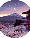 Tapyba pagal skaičius Mėnulio apšviesta sakura ir Fudžio kalnas 40x40 cm