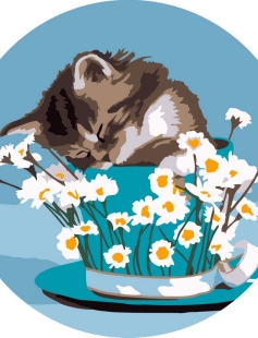 Tapyba pagal skaičius Miegantis kačiukas arbatos puodelyje 40x40 cm